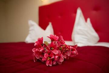 Фото номера Люкс Отель Grand Master Hotel г. Деж 3